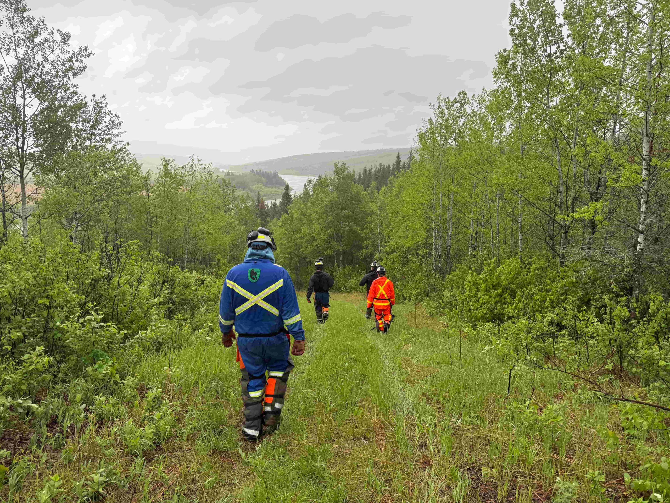 Forestry Service